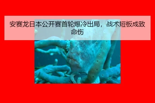 安赛龙日本公开赛首轮爆冷出局，战术短板成致命伤
