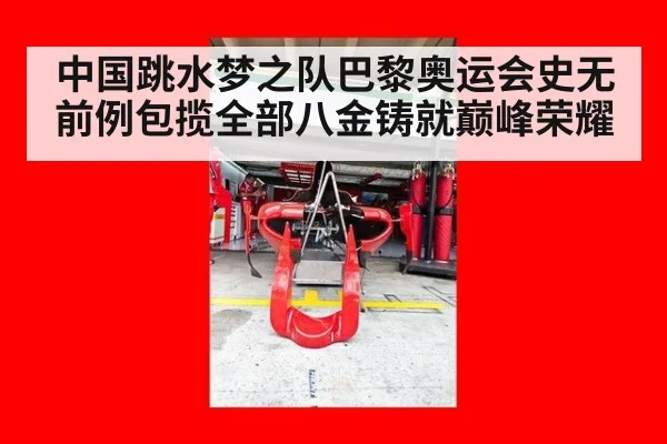 中国跳水梦之队巴黎奥运会史无前例包揽全部八金铸就巅峰荣耀